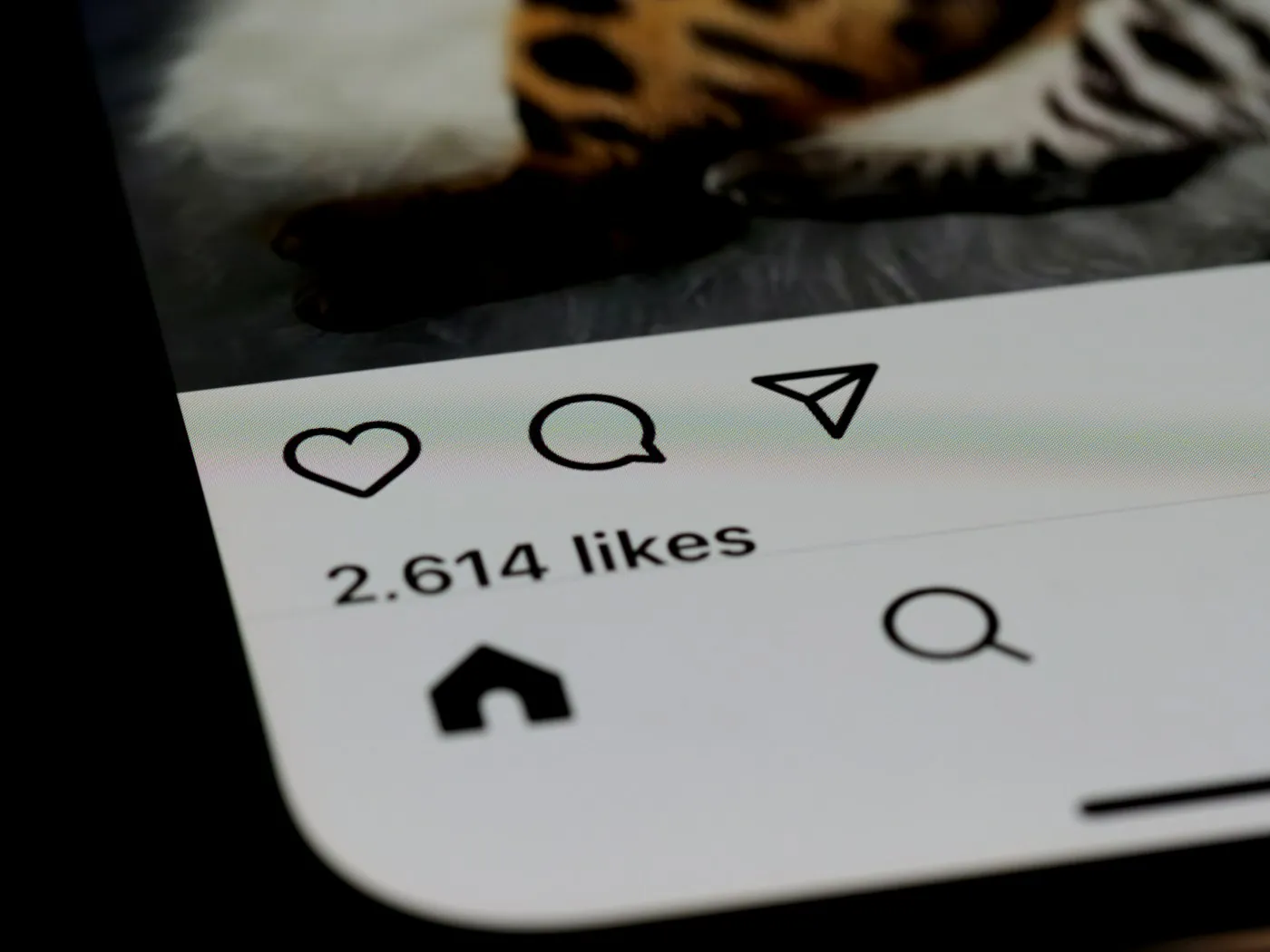 Instagram feed strategy and analytics for 2026